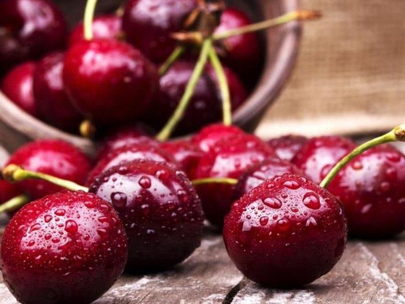 Вишня купить саженцы из питомника в Ревде